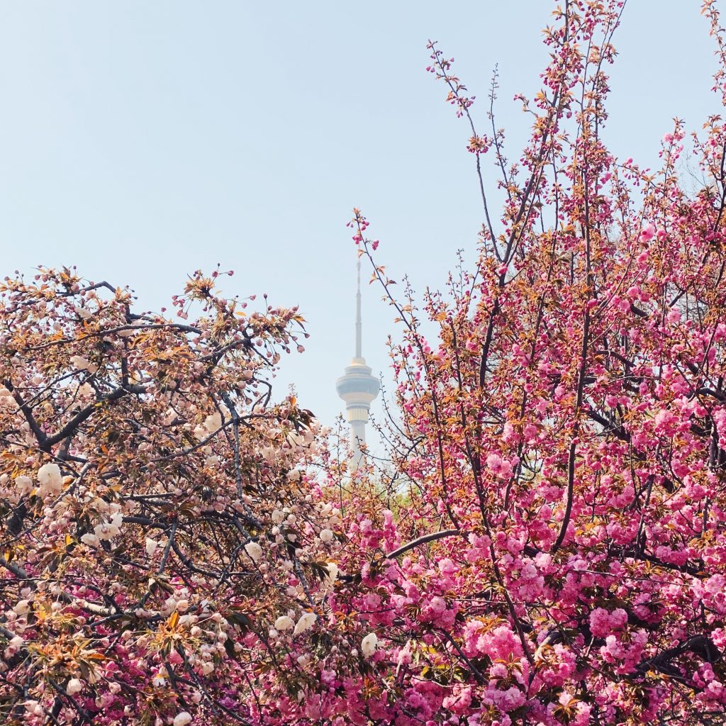 spring