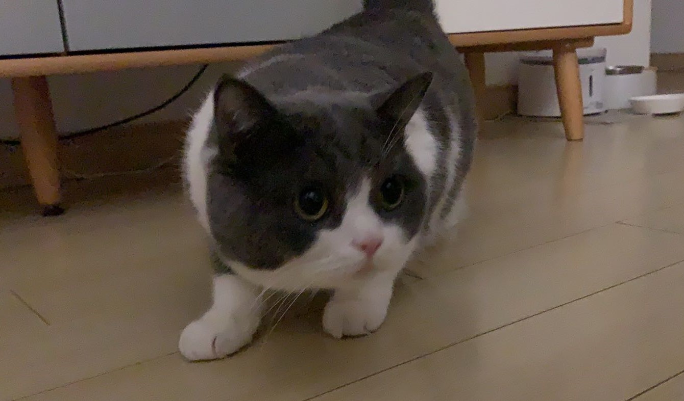 20221111yaki